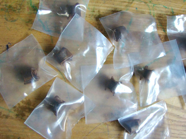 德尔福622B阀组件